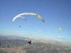 Paraglidingprog.jpg