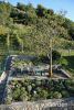 Garden.jpg